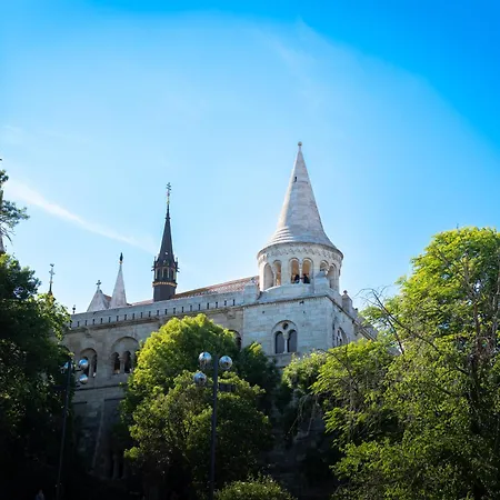 Serpentine At Buda Castle *